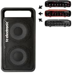 TC ELECTRONIC RS210 C